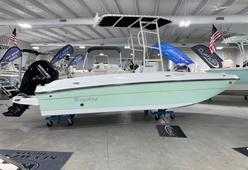 2024 Bayliner T21 Bay Reef Green/White Boat